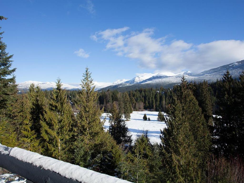 Beautiful 5 Bedroom Log Home With Spectacular Views 惠斯勒 外观 照片